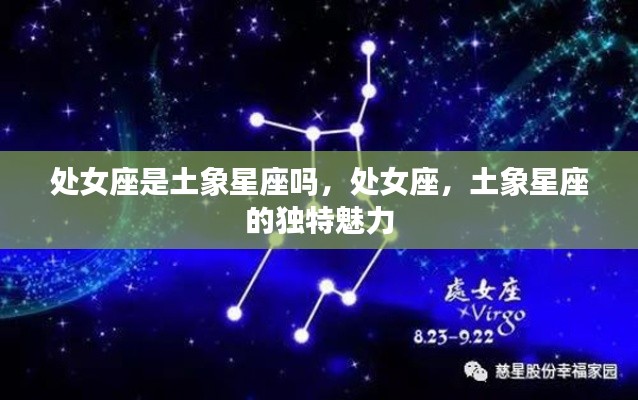 处女座与土象星座的独特魅力解析