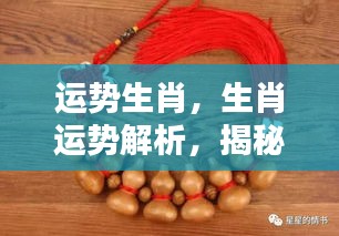 生肖运势揭秘，洞悉未来走向，掌握好运之道