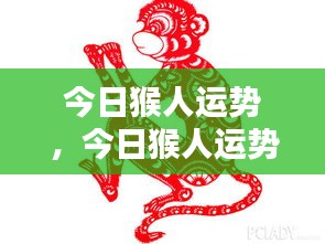 今日猴人运势，活力挑战并存，机遇与发展一展身手