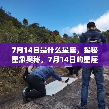 揭秘星象奥秘，7月14日的星座运势与星座解析