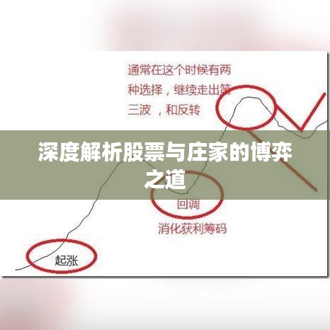 深度解析股票与庄家的博弈之道