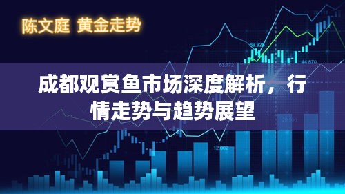 成都观赏鱼市场深度解析，行情走势与趋势展望