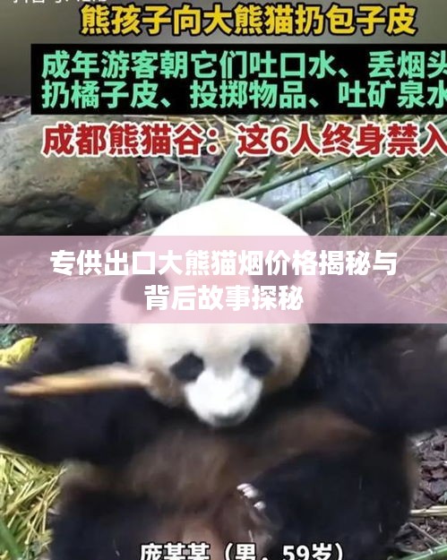 专供出口大熊猫烟价格揭秘与背后故事探秘