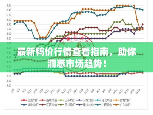 最新鸭价行情查看指南，助你洞悉市场趋势！