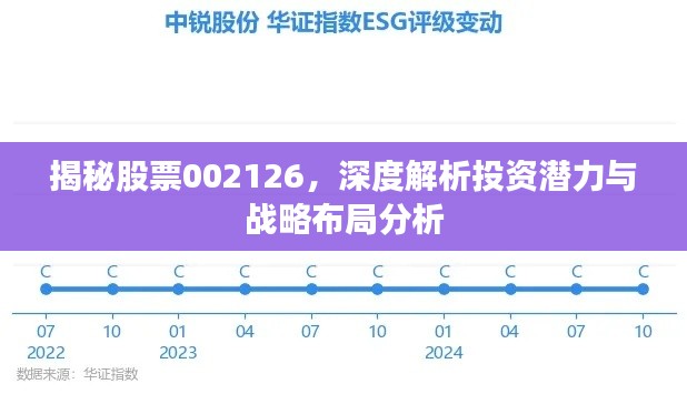 揭秘股票002126，深度解析投资潜力与战略布局分析