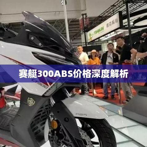 赛艇300ABS价格深度解析