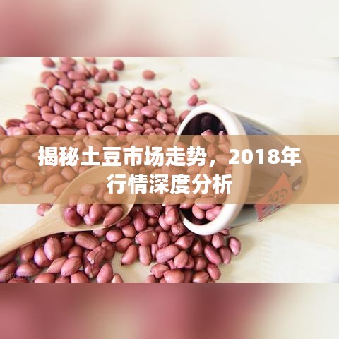 揭秘土豆市场走势，2018年行情深度分析