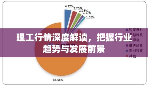 理工行情深度解读，把握行业趋势与发展前景