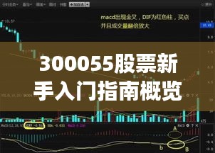 300055股票新手入门指南概览