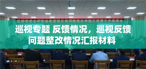 巡视专题 反馈情况，巡视反馈问题整改情况汇报材料 