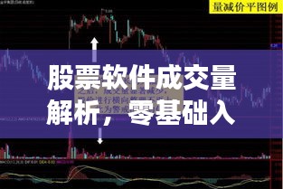 股票软件成交量解析，零基础入门指南