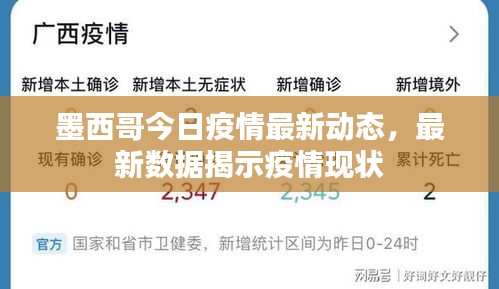 墨西哥今日疫情最新动态，最新数据揭示疫情现状