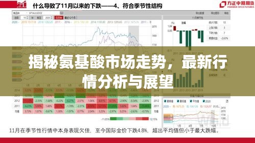 揭秘氨基酸市场走势，最新行情分析与展望