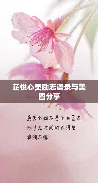 芷悦心灵励志语录与美图分享