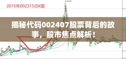 揭秘代码002407股票背后的故事，股市焦点解析！