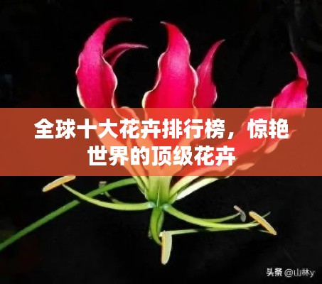 全球十大花卉排行榜，惊艳世界的顶级花卉