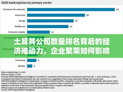 土耳其公司数量排名背后的经济推动力，企业繁荣如何影响国家经济？