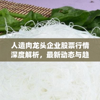 人造肉龙头企业股票行情深度解析，最新动态与趋势展望