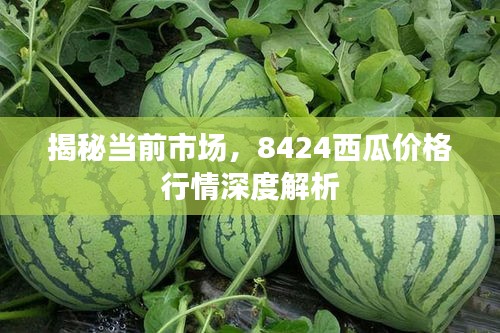 揭秘当前市场，8424西瓜价格行情深度解析