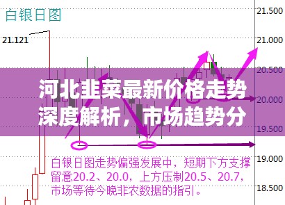 河北韭菜最新价格走势深度解析，市场趋势分析与预测