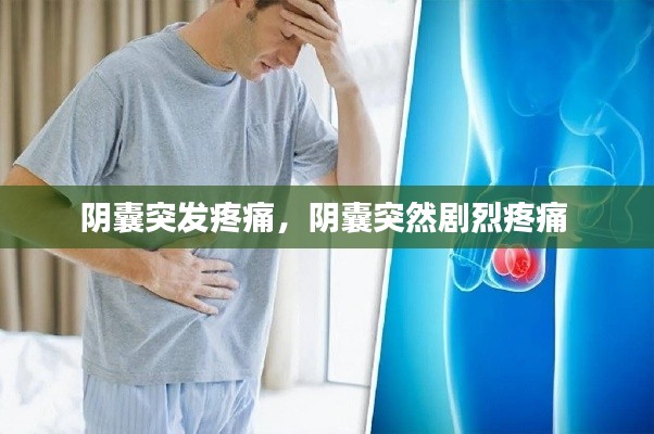 阴囊突发疼痛，阴囊突然剧烈疼痛 