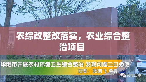 农综改整改落实，农业综合整治项目 