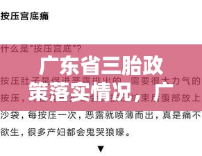 广东省三胎政策落实情况，广东省三胎政策最新发布 