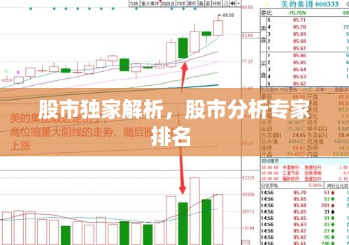 股市独家解析，股市分析专家排名 