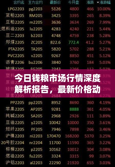 今日钱粮市场行情深度解析报告，最新价格动态一网打尽！