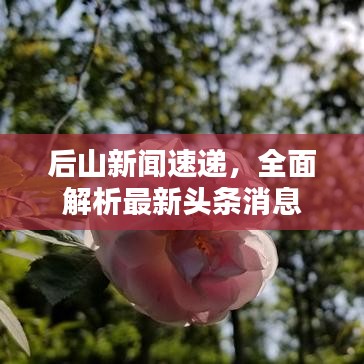 后山新闻速递，全面解析最新头条消息