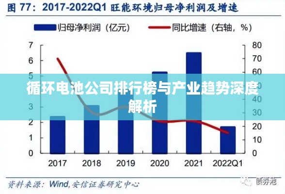 循环电池公司排行榜与产业趋势深度解析