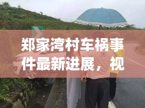 郑家湾村车祸事件最新进展，视频报道揭示现场情况