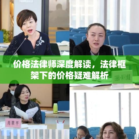 价格法律师深度解读，法律框架下的价格疑难解析