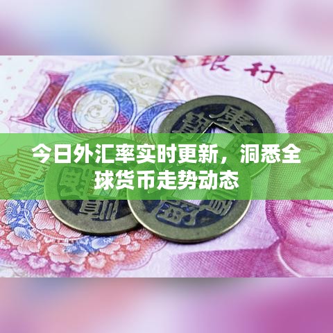 今日外汇率实时更新，洞悉全球货币走势动态