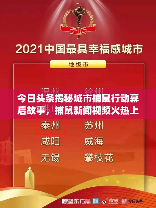 今日头条揭秘城市捕鼠行动幕后故事，捕鼠新闻视频火热上线！