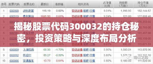 揭秘股票代码300032的持仓秘密，投资策略与深度布局分析