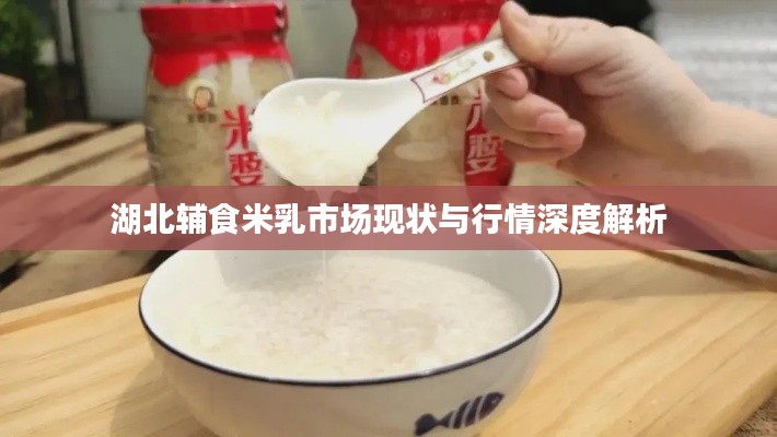 湖北辅食米乳市场现状与行情深度解析