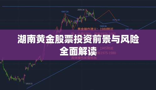 湖南黄金股票投资前景与风险全面解读