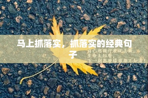 马上抓落实，抓落实的经典句子 