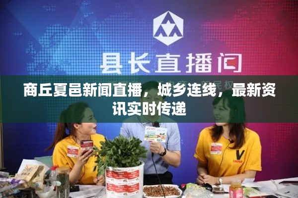 商丘夏邑新闻直播，城乡连线，最新资讯实时传递