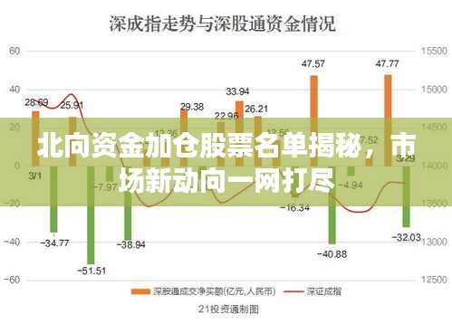 北向资金加仓股票名单揭秘，市场新动向一网打尽