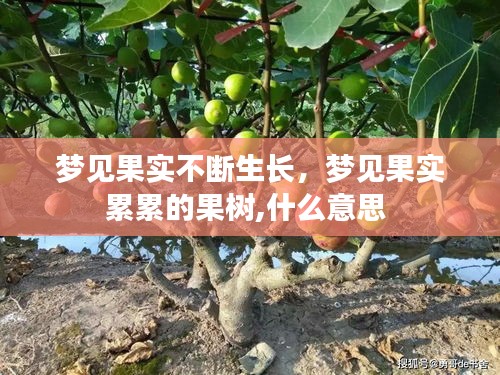 梦见果实不断生长，梦见果实累累的果树,什么意思 