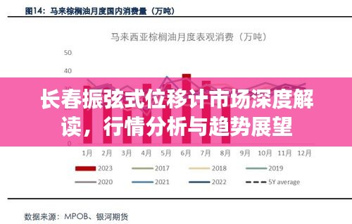 长春振弦式位移计市场深度解读，行情分析与趋势展望