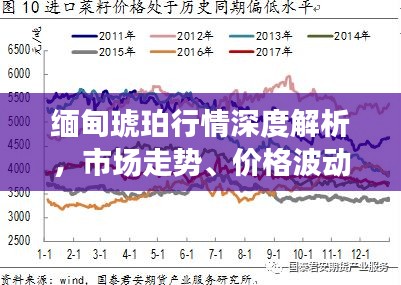 缅甸琥珀行情深度解析，市场走势、价格波动及投资前景展望