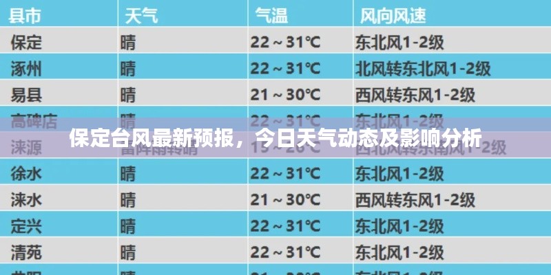 保定台风最新预报，今日天气动态及影响分析