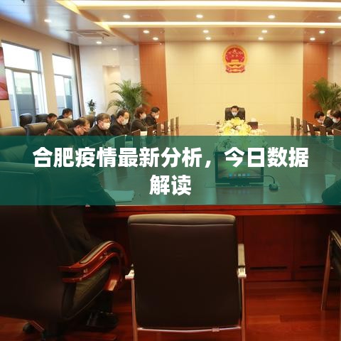 合肥疫情最新分析，今日数据解读