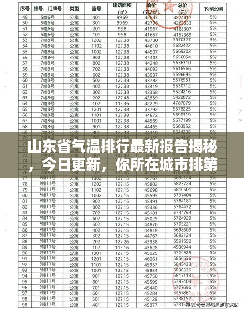 山东省气温排行最新报告揭秘，今日更新，你所在城市排第几？