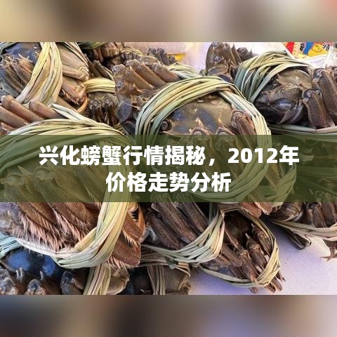 兴化螃蟹行情揭秘，2012年价格走势分析