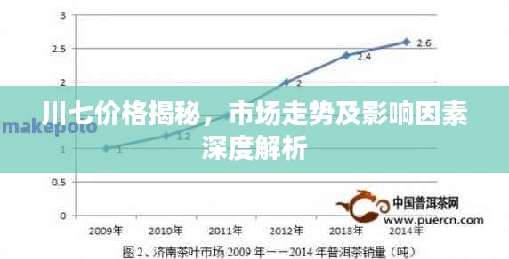 川七价格揭秘，市场走势及影响因素深度解析