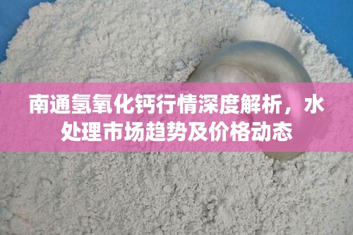 南通氢氧化钙行情深度解析，水处理市场趋势及价格动态